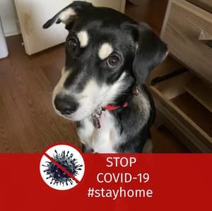 Meet your Posher, Cece